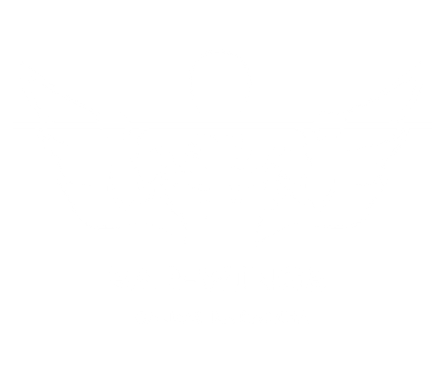 Bar-Wings